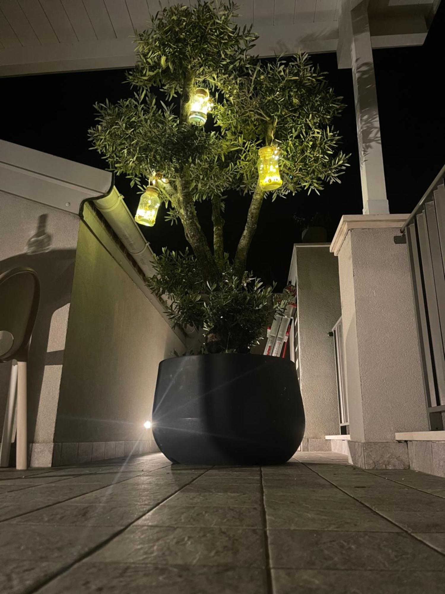 Bed and Breakfast La Casa Di Filo Boutique Roseto Degli Abruzzi Exterior foto